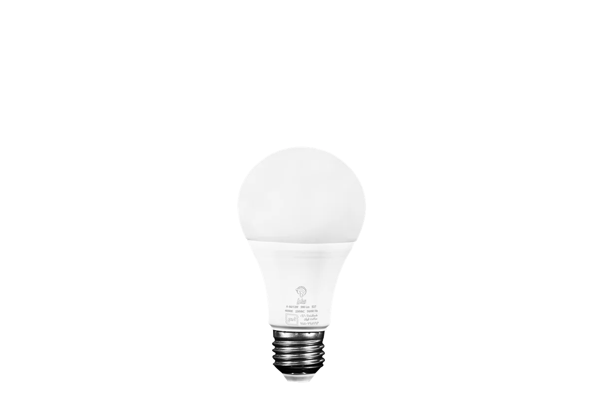 لامپ حبابی ساده 12 وات برند رونیا
